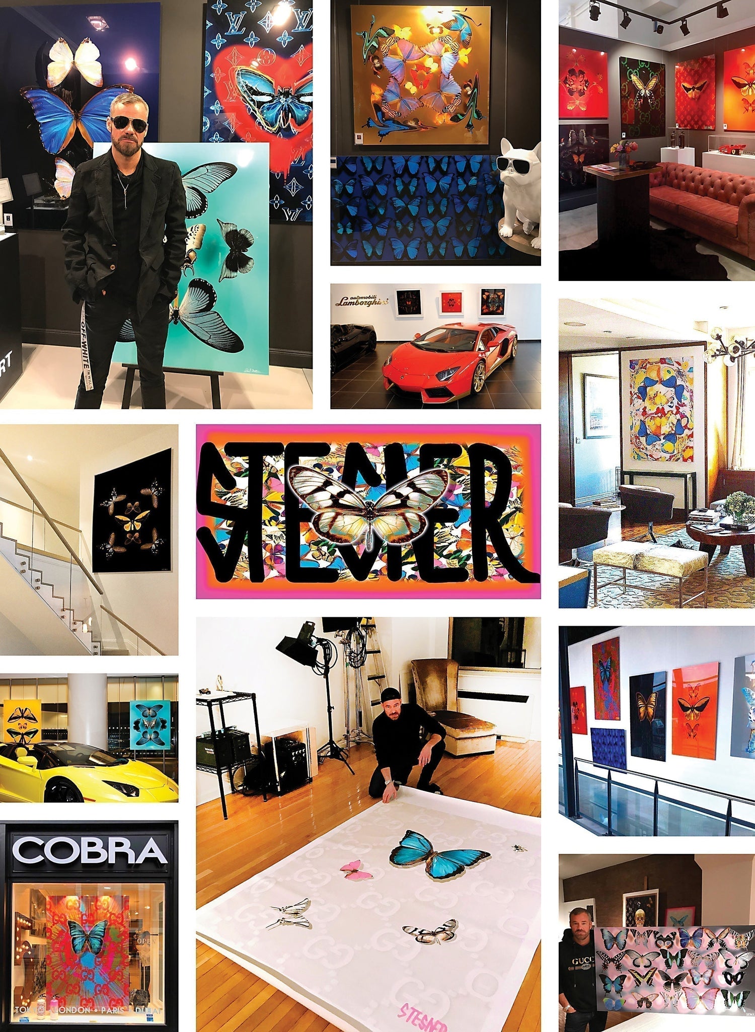 David Stesner: Transforming Art into a Luxury Home & Lifestyle Collection