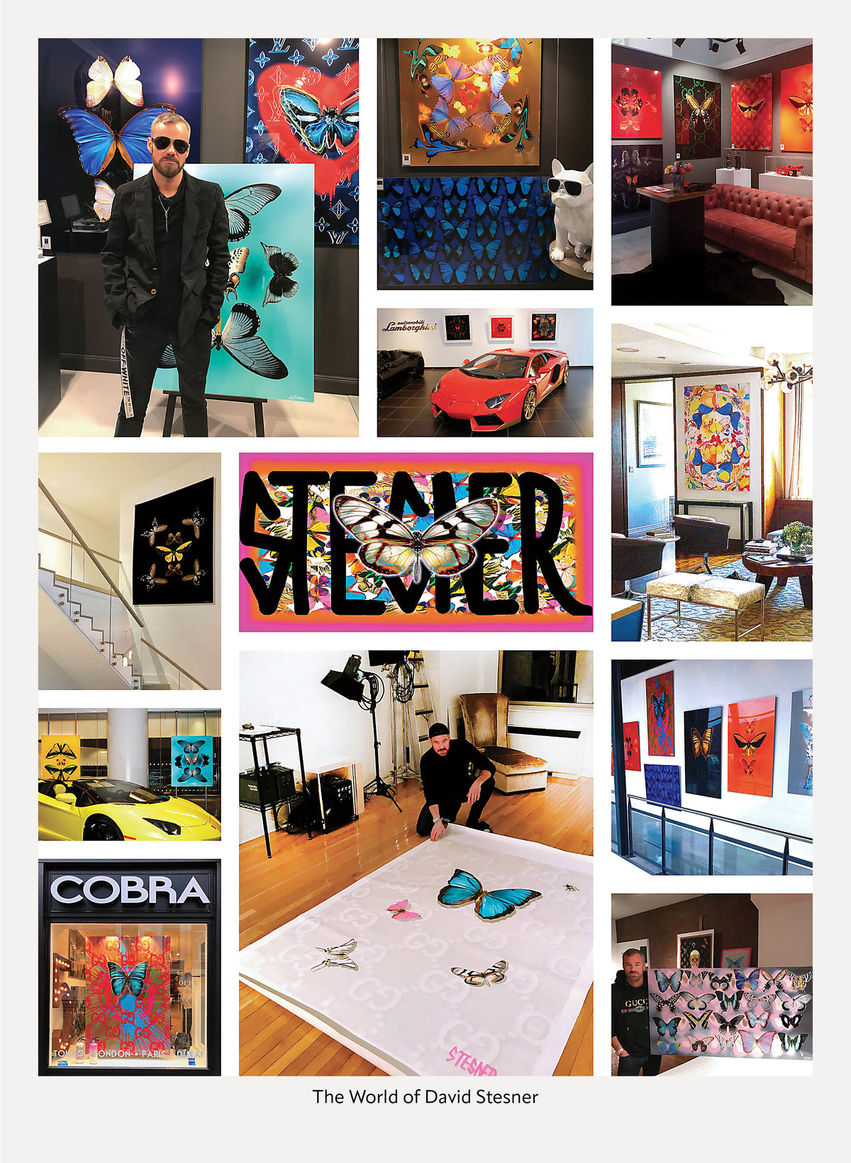 David Stesner ArtHouse | A World of Art, Beauty, and Collectible Design