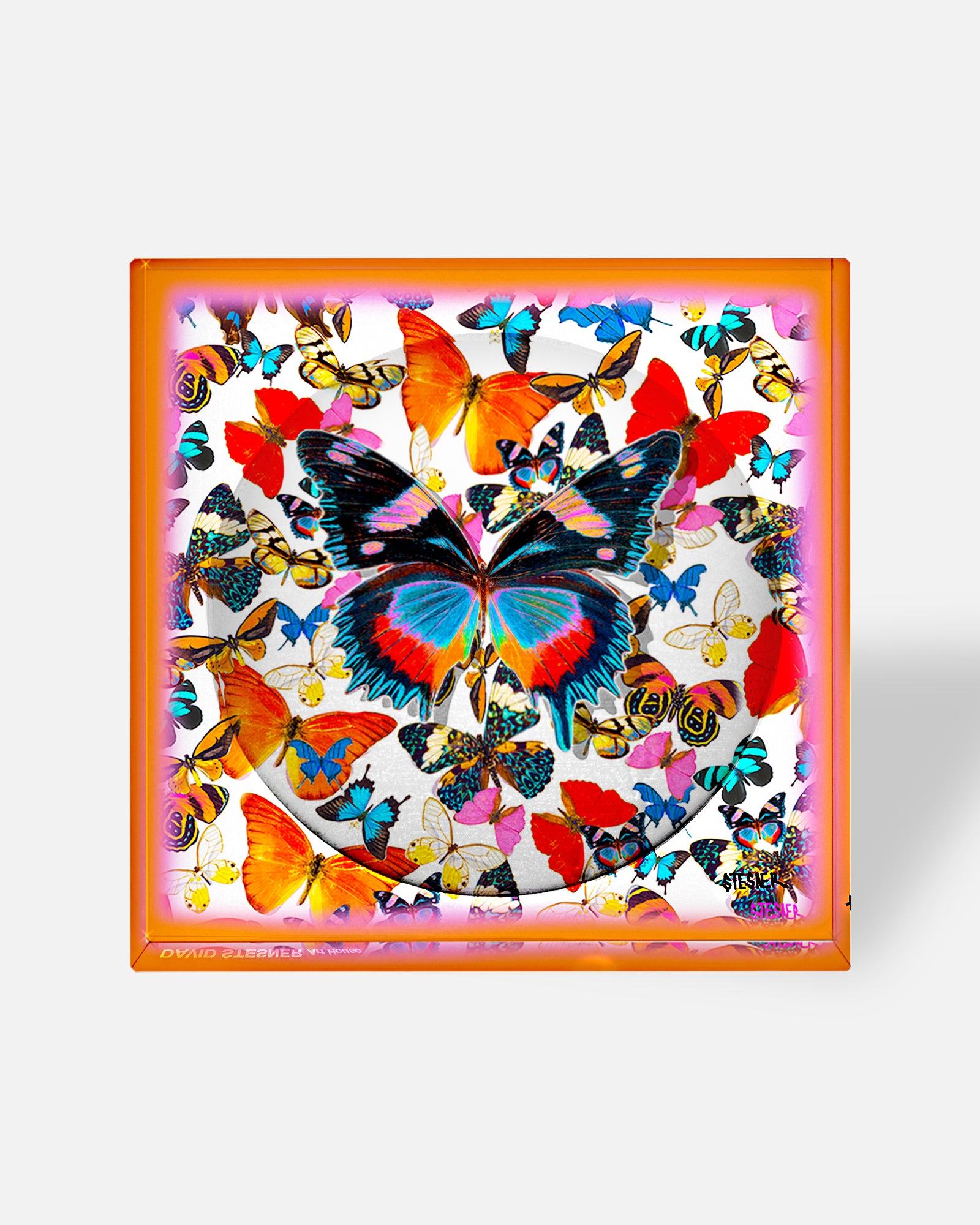 Electric Garden by David Stesner ArtHouse — multicolor green acrylic dishes, full product view