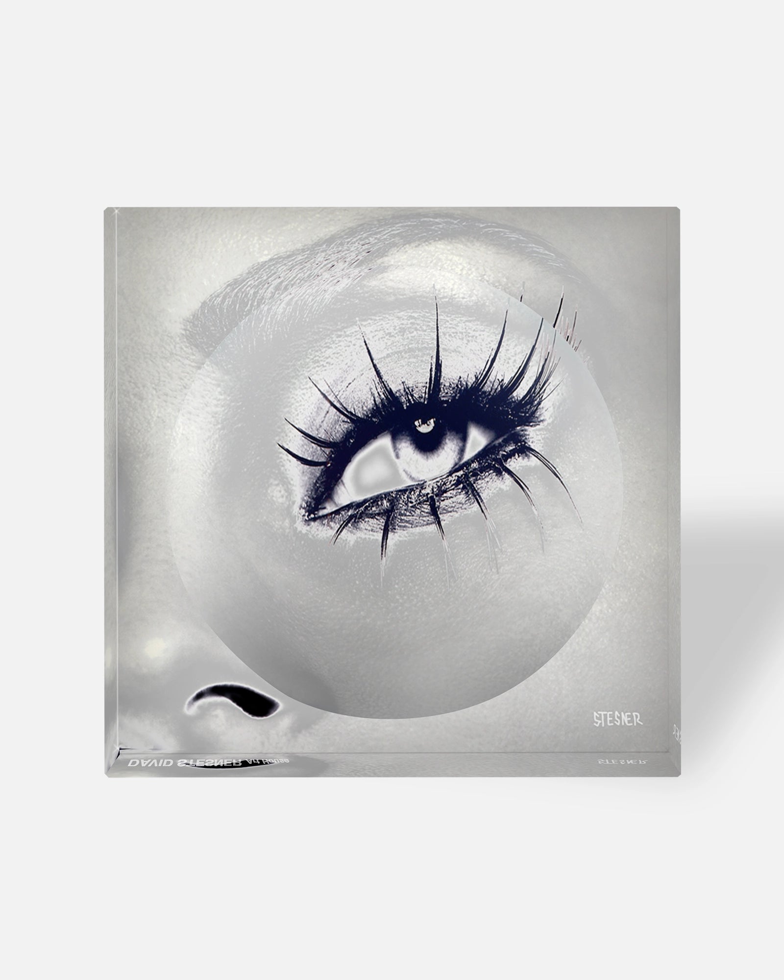 Velvet Lashes by David Stesner ArtHouse — clear black acrylic dishes, side angle