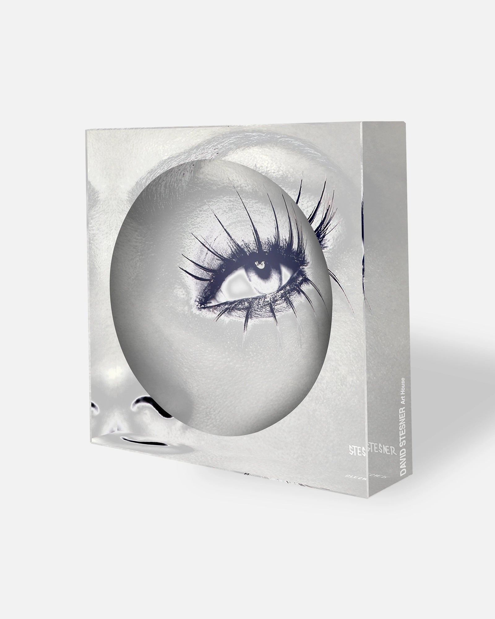 Velvet Lashes by David Stesner ArtHouse — clear black acrylic dishes, styled view