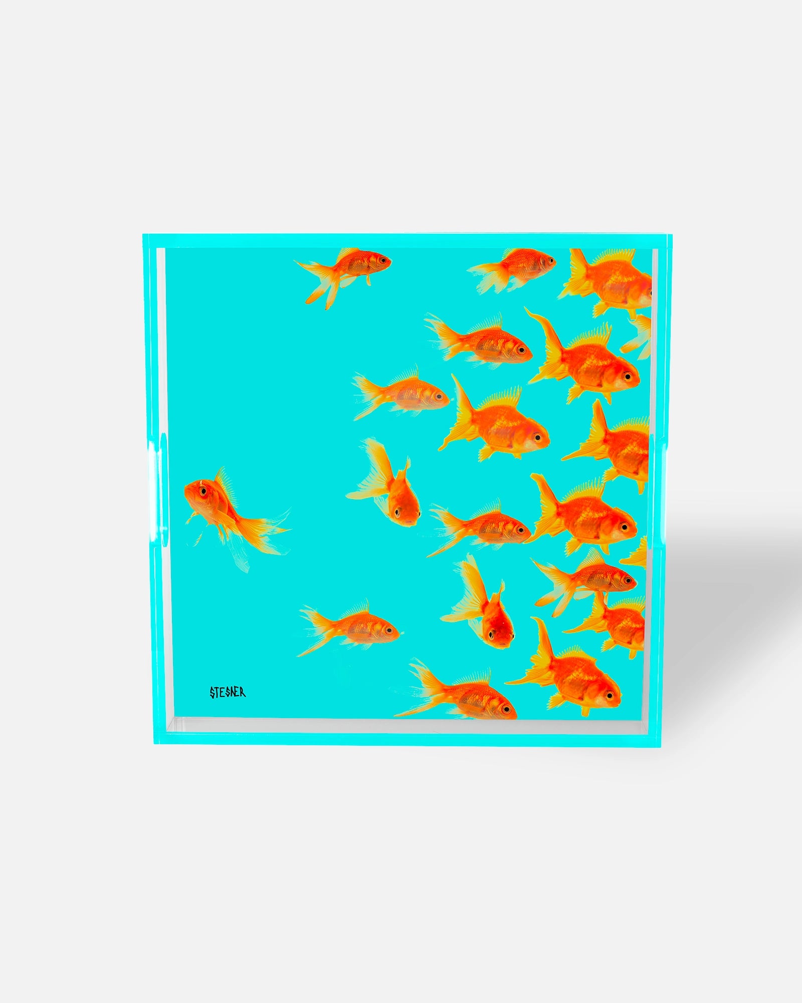 Aqua Swim by David Stesner ArtHouse — turquoise orange square acrylic trays, side angle