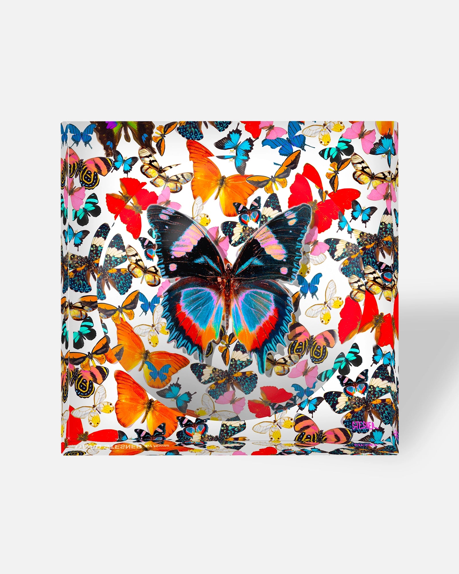 Matriarch of the Sky