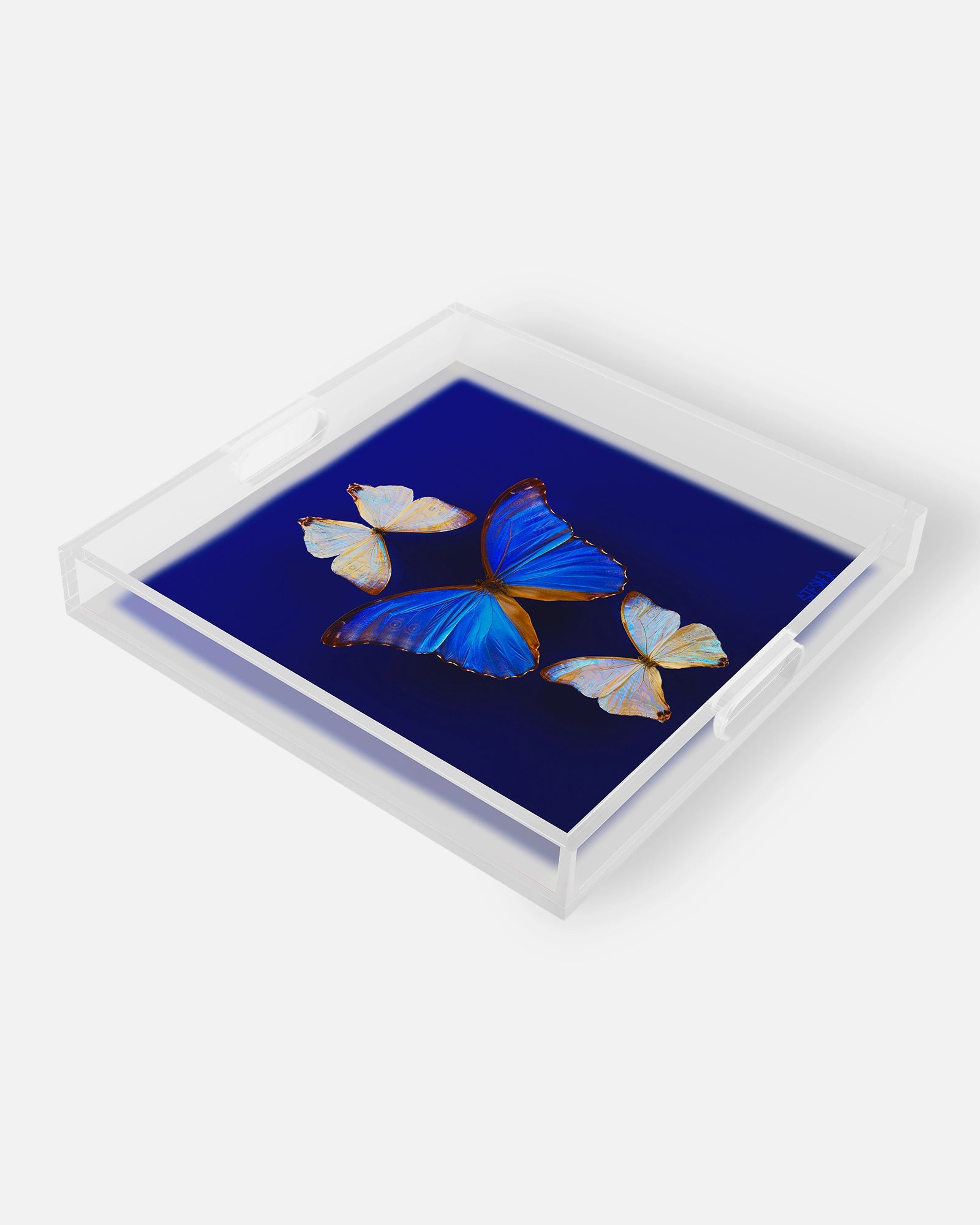 Morning Light Opal Flight