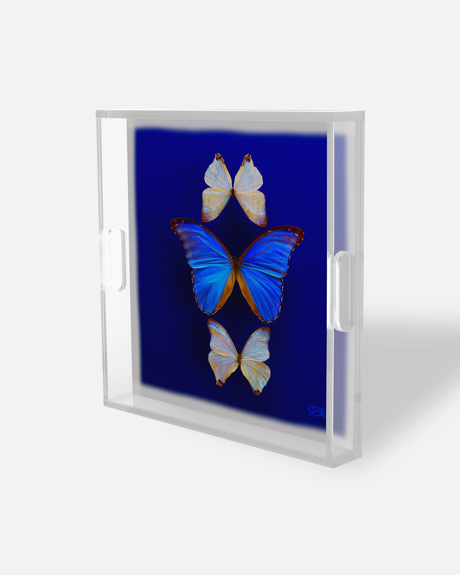 Morning Light Opal Flight