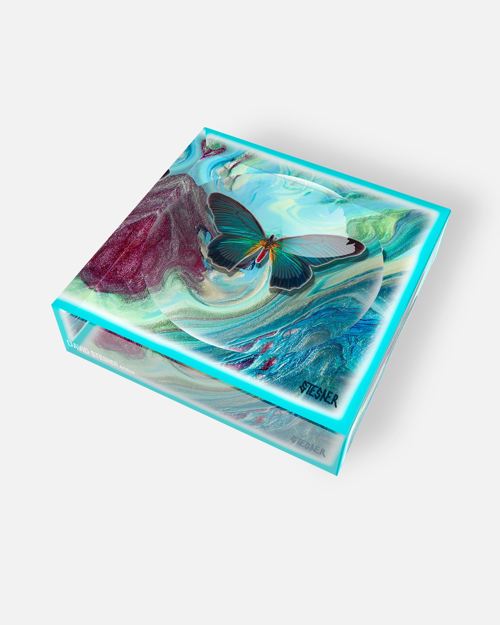 Wings of the Current by David Stesner ArtHouse — multicolor orange acrylic dishes