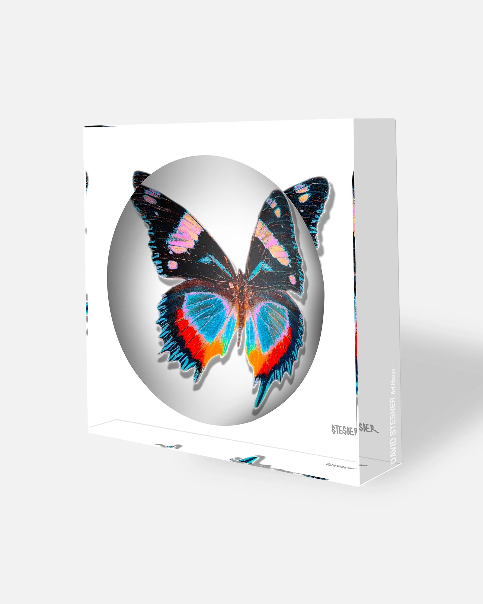 Frosted Wings by David Stesner ArtHouse — white acrylic dishes, styled view