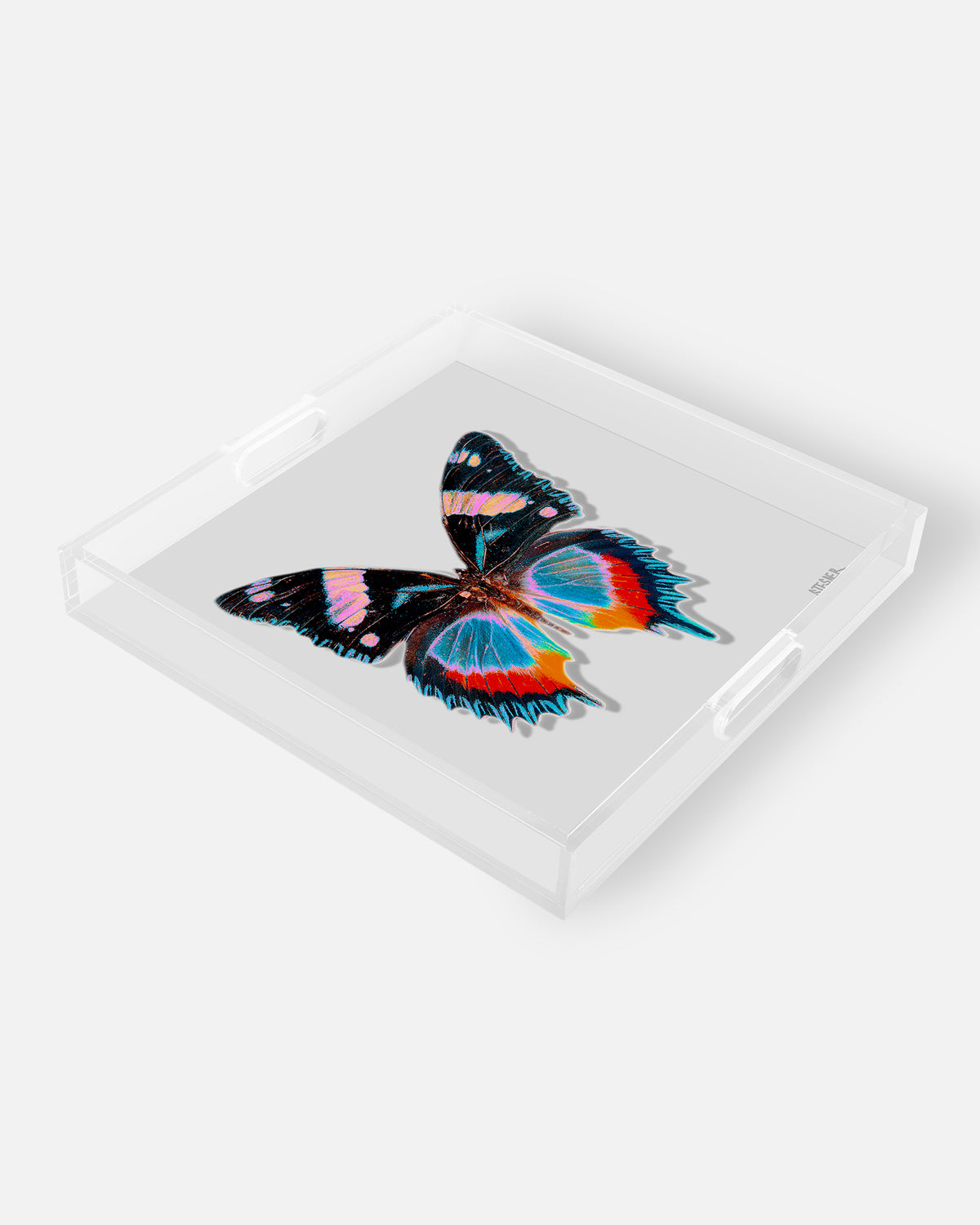 Pearl Papillon by David Stesner ArtHouse — black white square acrylic trays, detail close-up