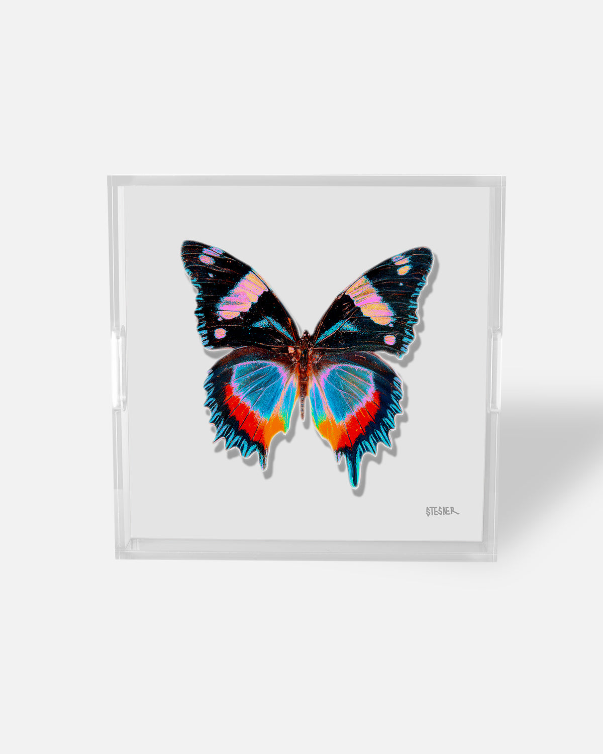 Pearl Papillon by David Stesner ArtHouse — black white square acrylic trays, styled view