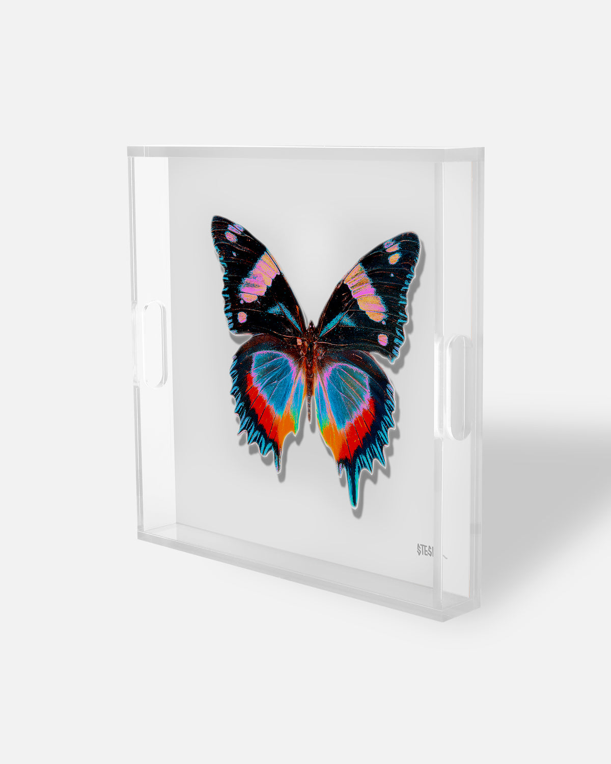 Pearl Papillon by David Stesner ArtHouse — black white square acrylic trays