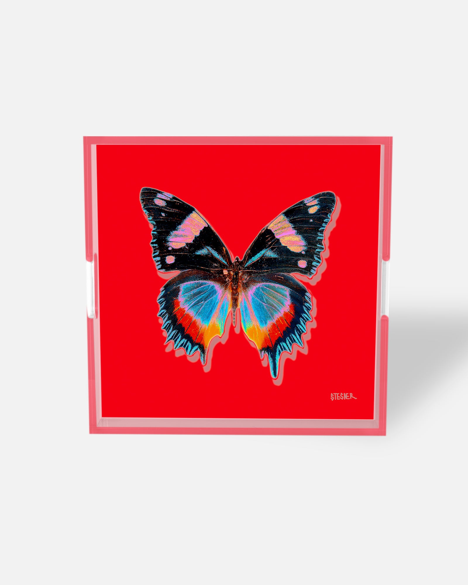 NEW! Poppy Papillon
