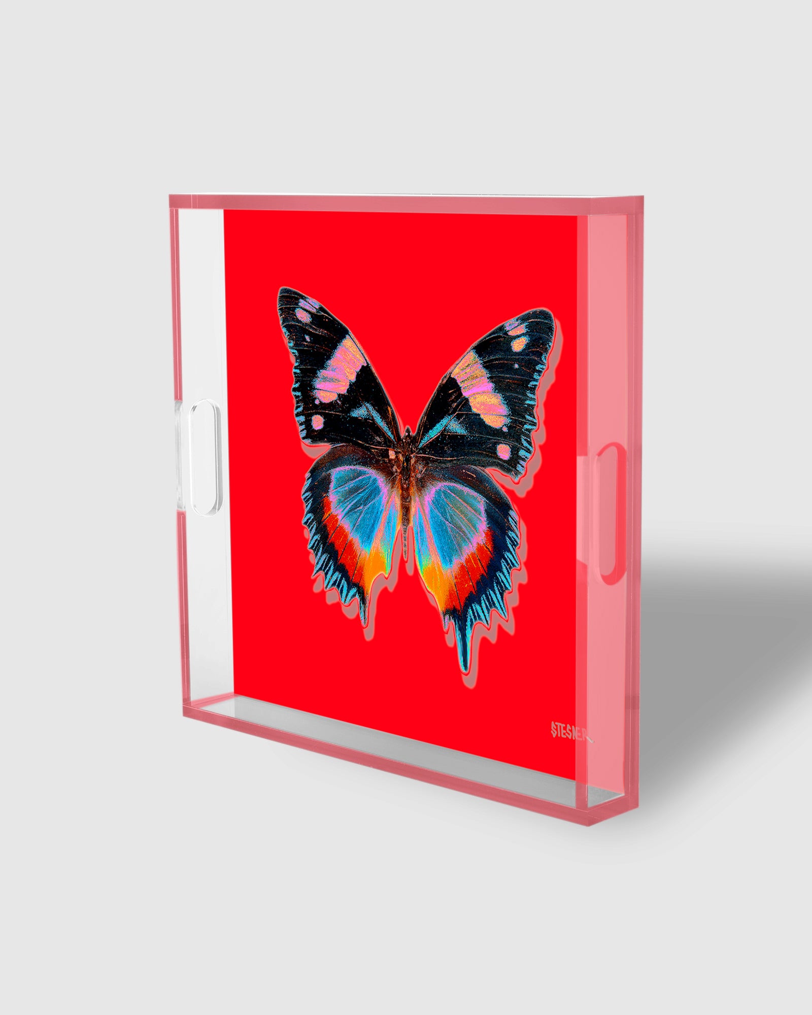 NEW! Poppy Papillon