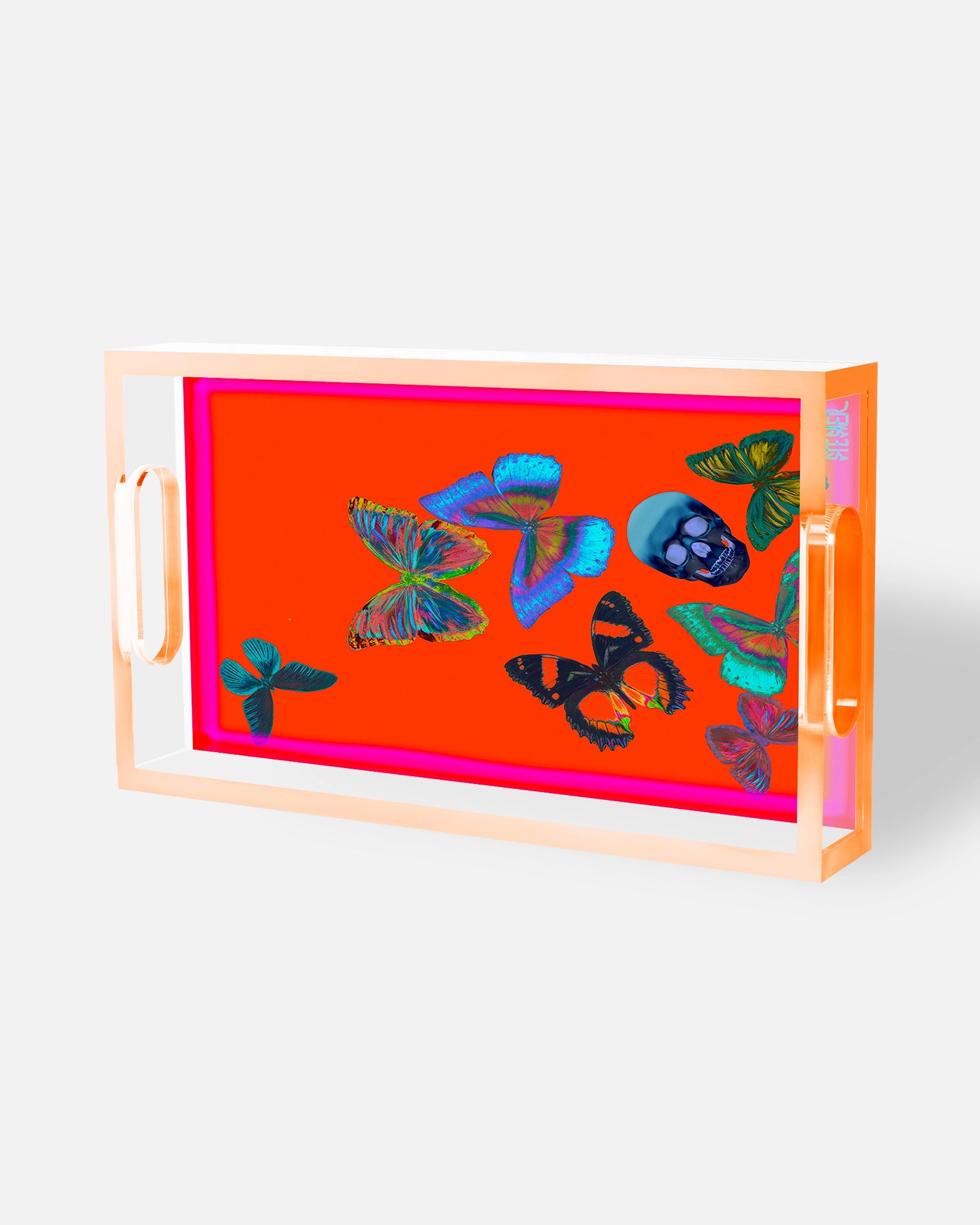 Metamorphosis in Flame by David Stesner ArtHouse — orange multicolor rectangle acrylic trays