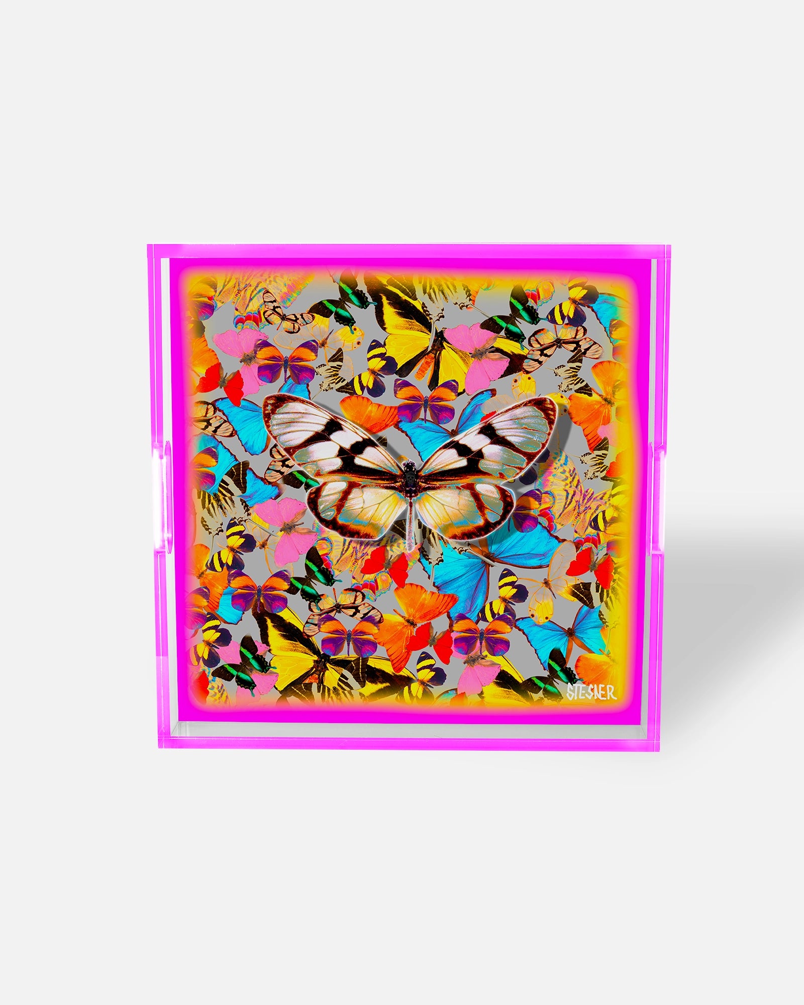 Temptation’s Garden