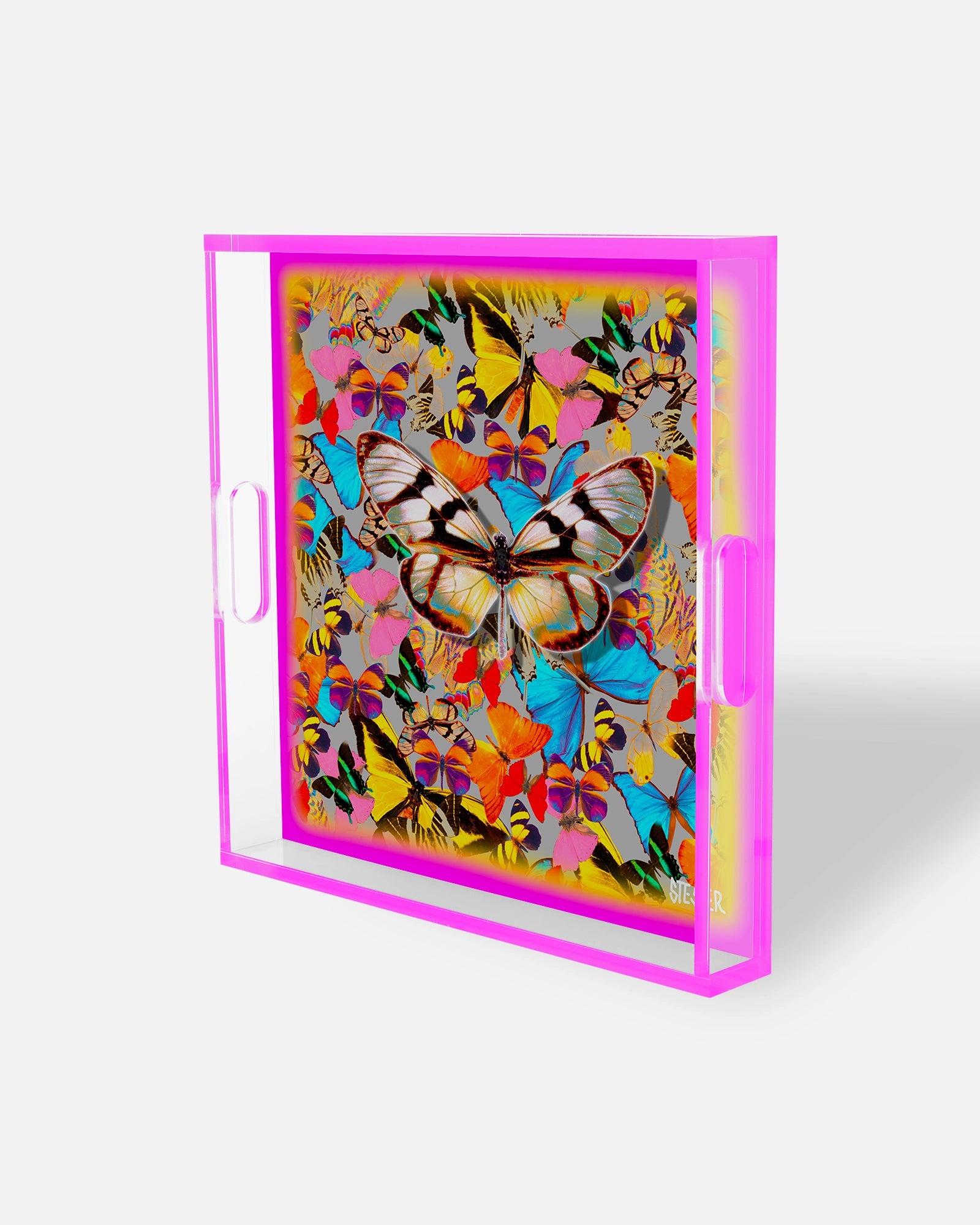 Temptations Garden Square Acrylic Tray | David Stesner