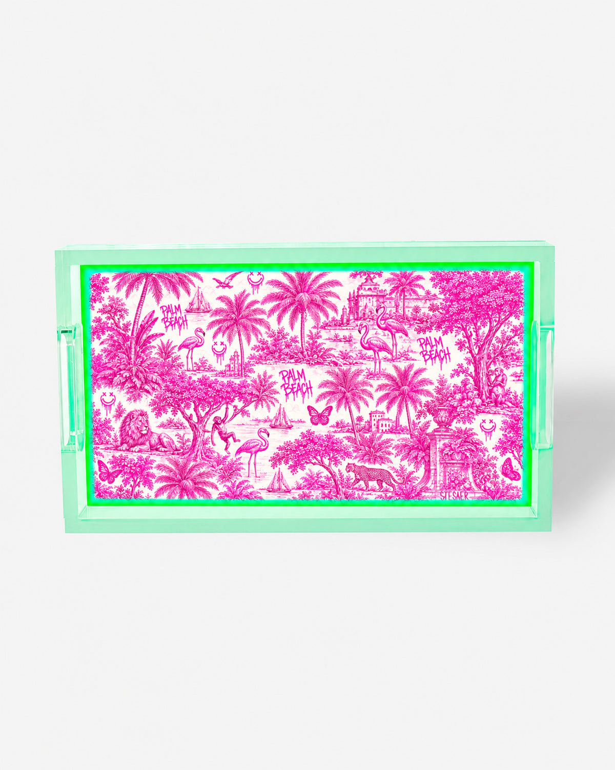 Urban Pop Toile Palm Beach Small Acrylic Tray | David Stesner