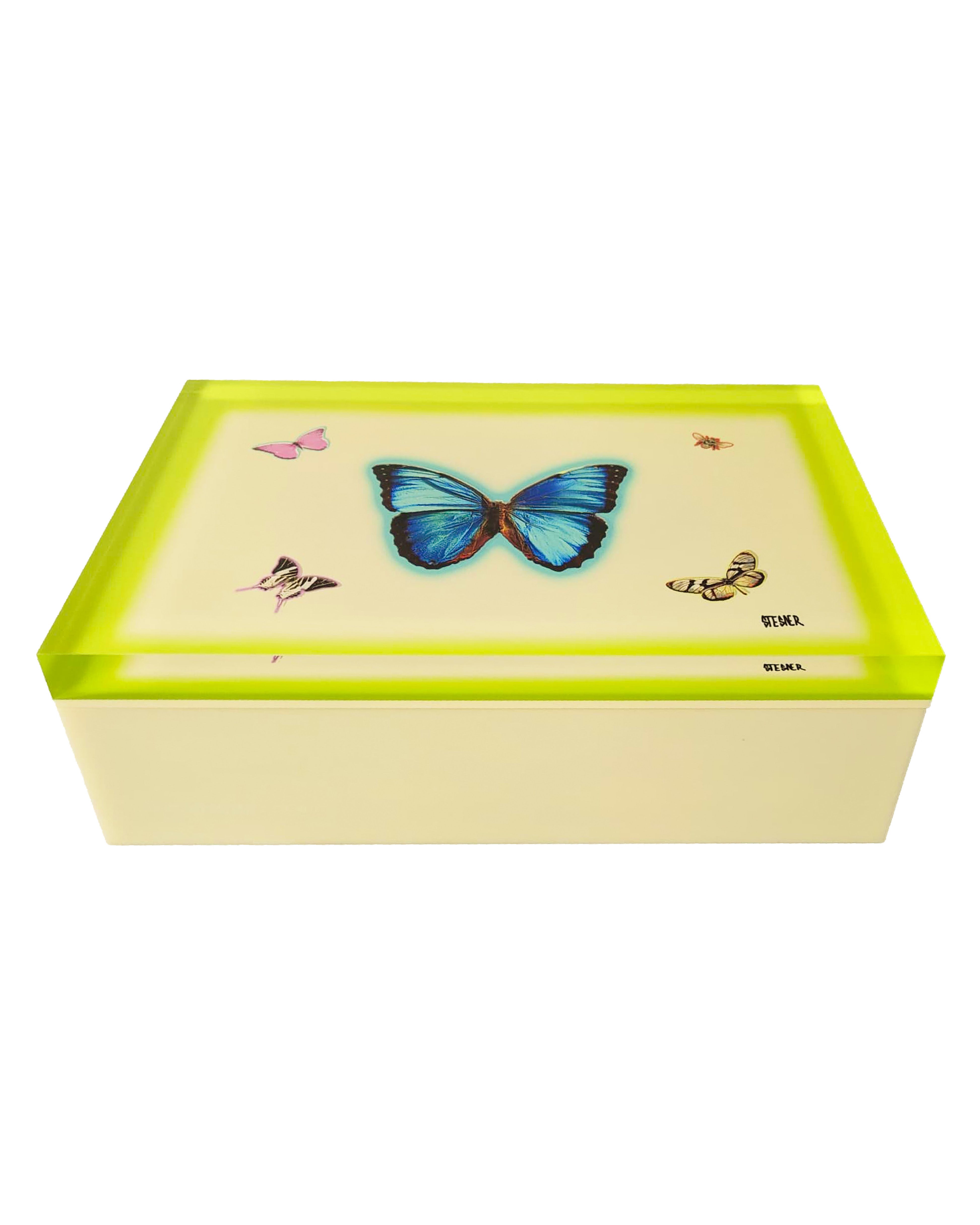 First Light — Ivory + Neon Yellow Butterfly Keepsake Box — acrylic keepsake box by David Stesner ArtHouse — view 1
