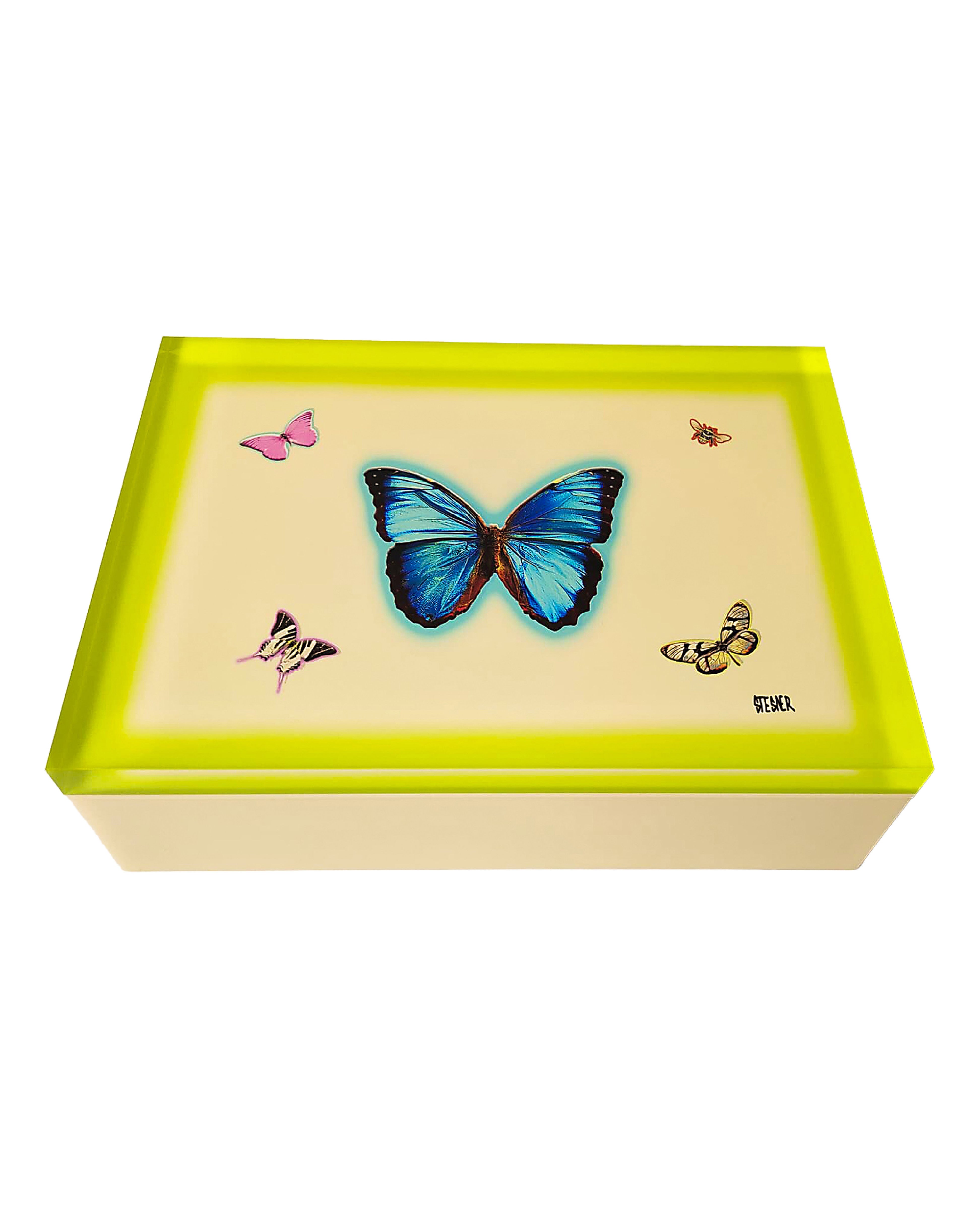 First Light — Ivory + Neon Yellow Butterfly Keepsake Box — acrylic keepsake box by David Stesner ArtHouse — view 2