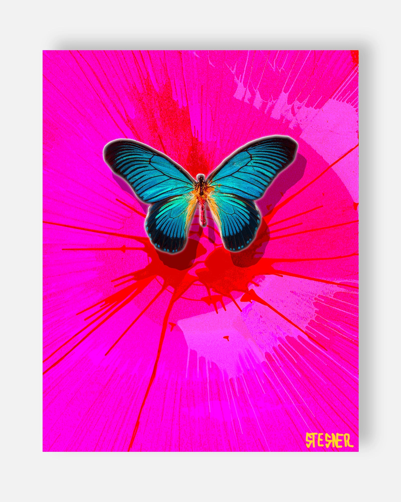 Fuchsia Fly Burst Fine Art Print | David Stesner ArtHouse