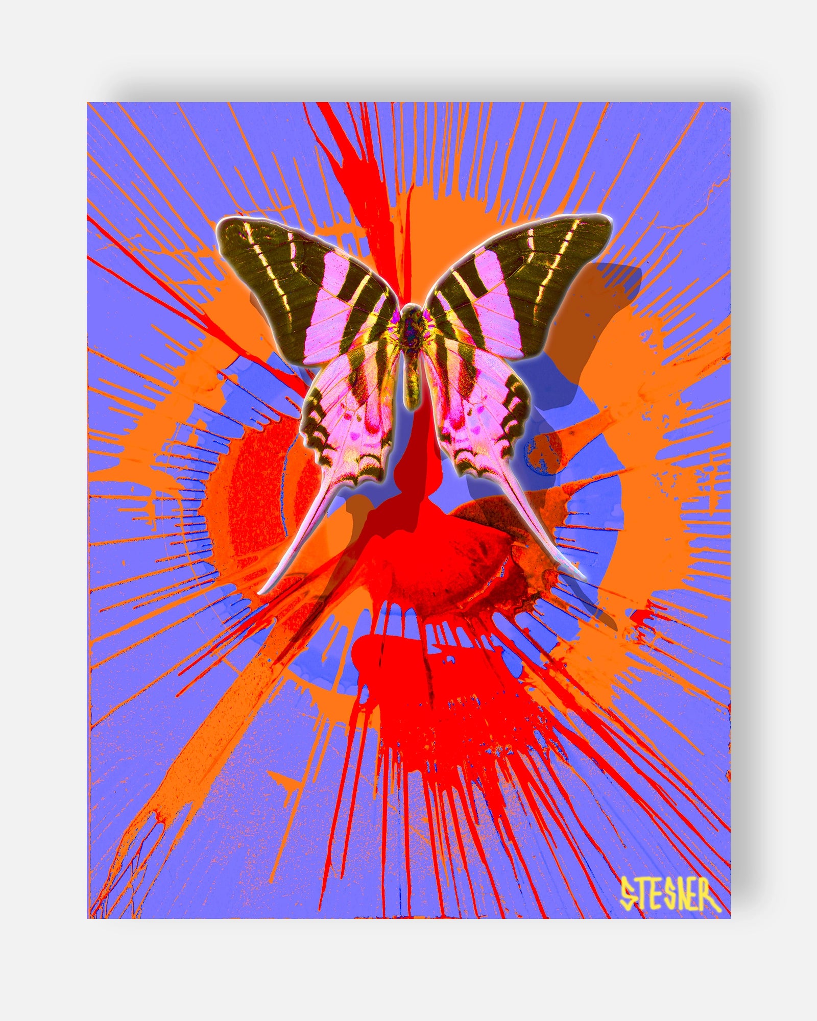 Solar Fly Burst Fine Art Print | David Stesner ArtHouse