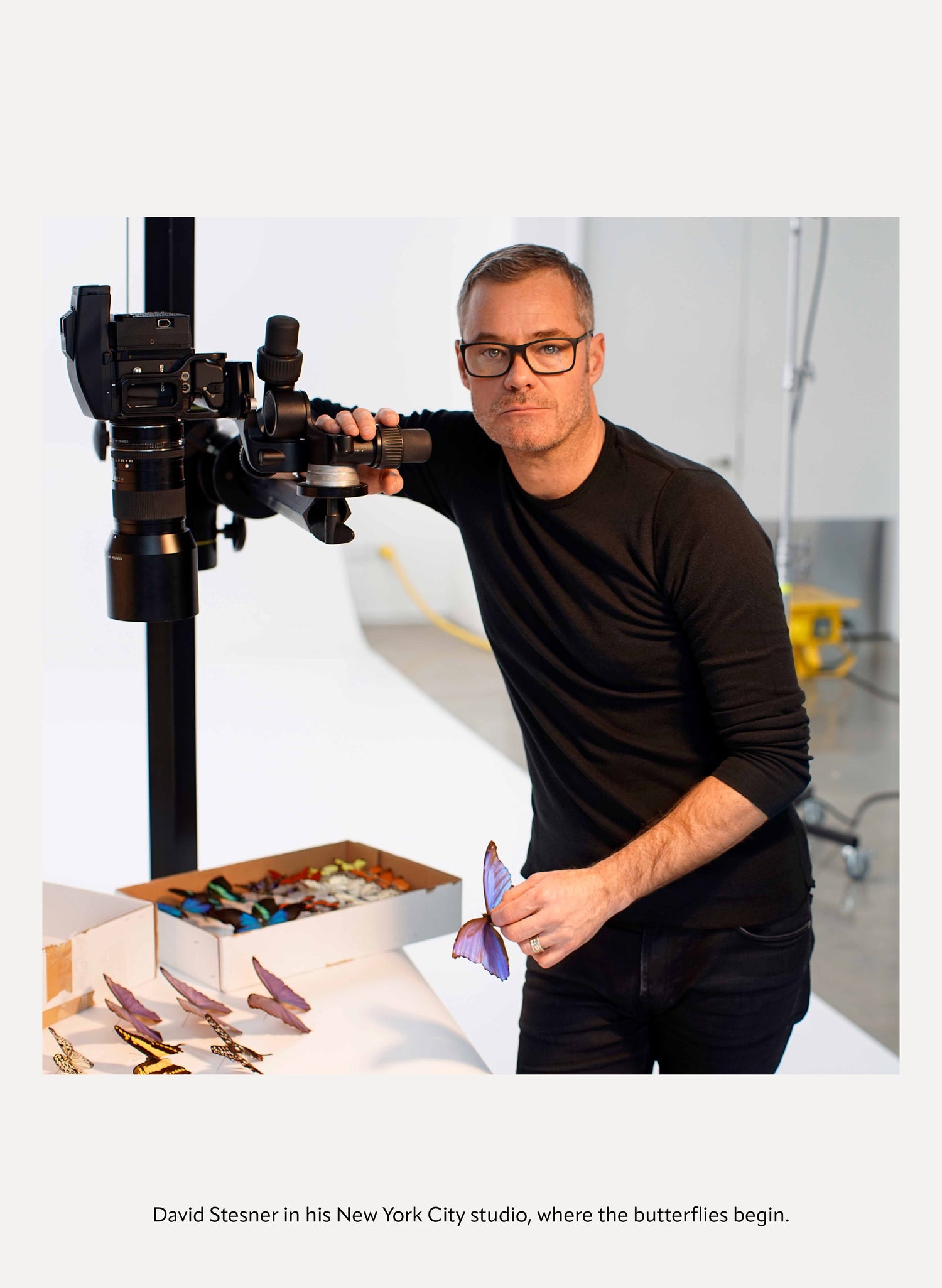David Stesner | From Fine Art to David Stesner ArtHouse