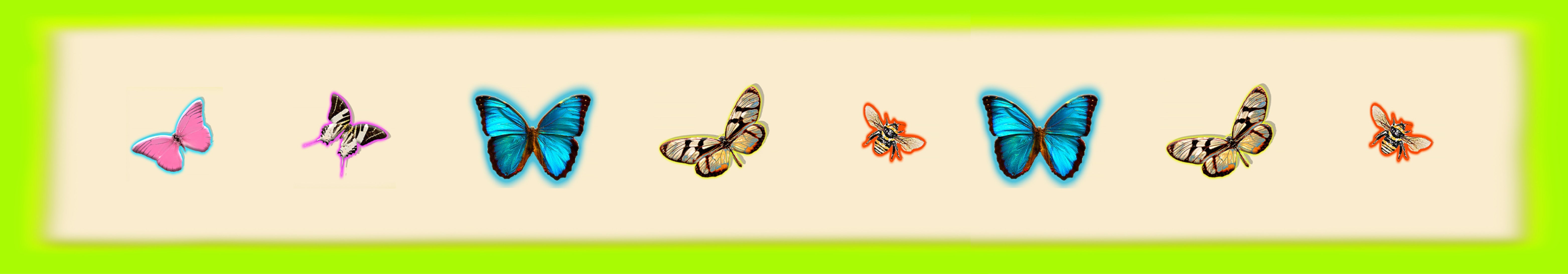 collection image