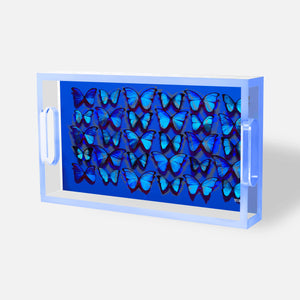 Cobalt Midnight Blues