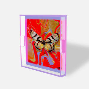 Scarlet Marble Flight