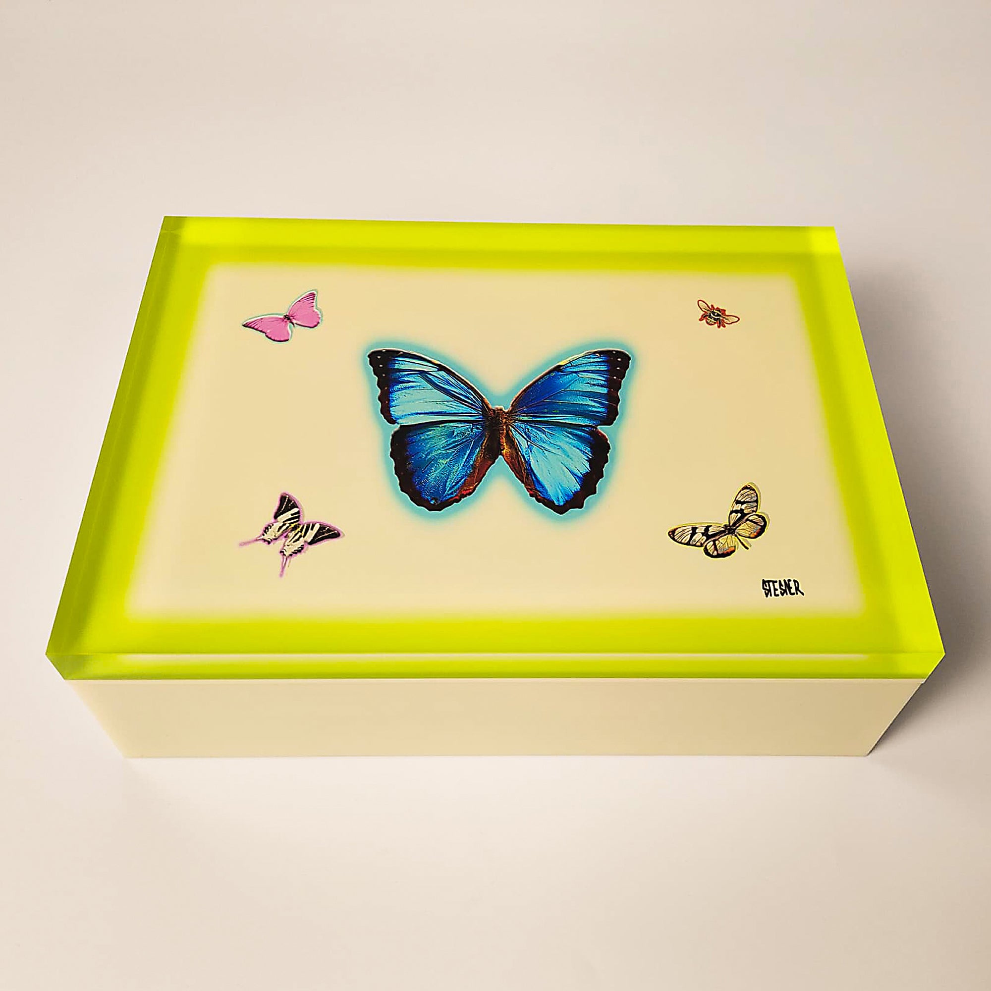 David Stesner ArtHouse Neon-Edge Butterfly Keepsake Box