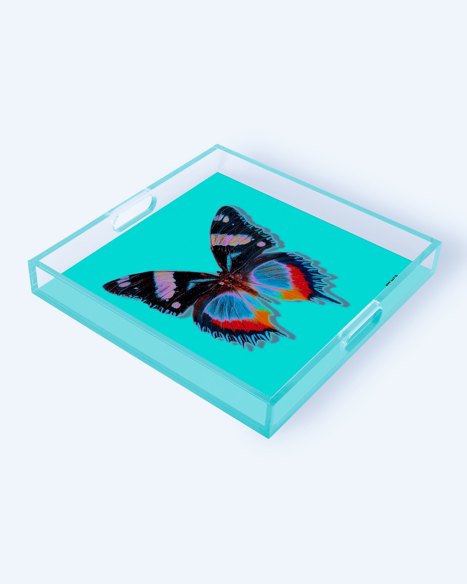 Aquamarine Papillon by David Stesner ArtHouse — turquoise black square acrylic trays, additional detail