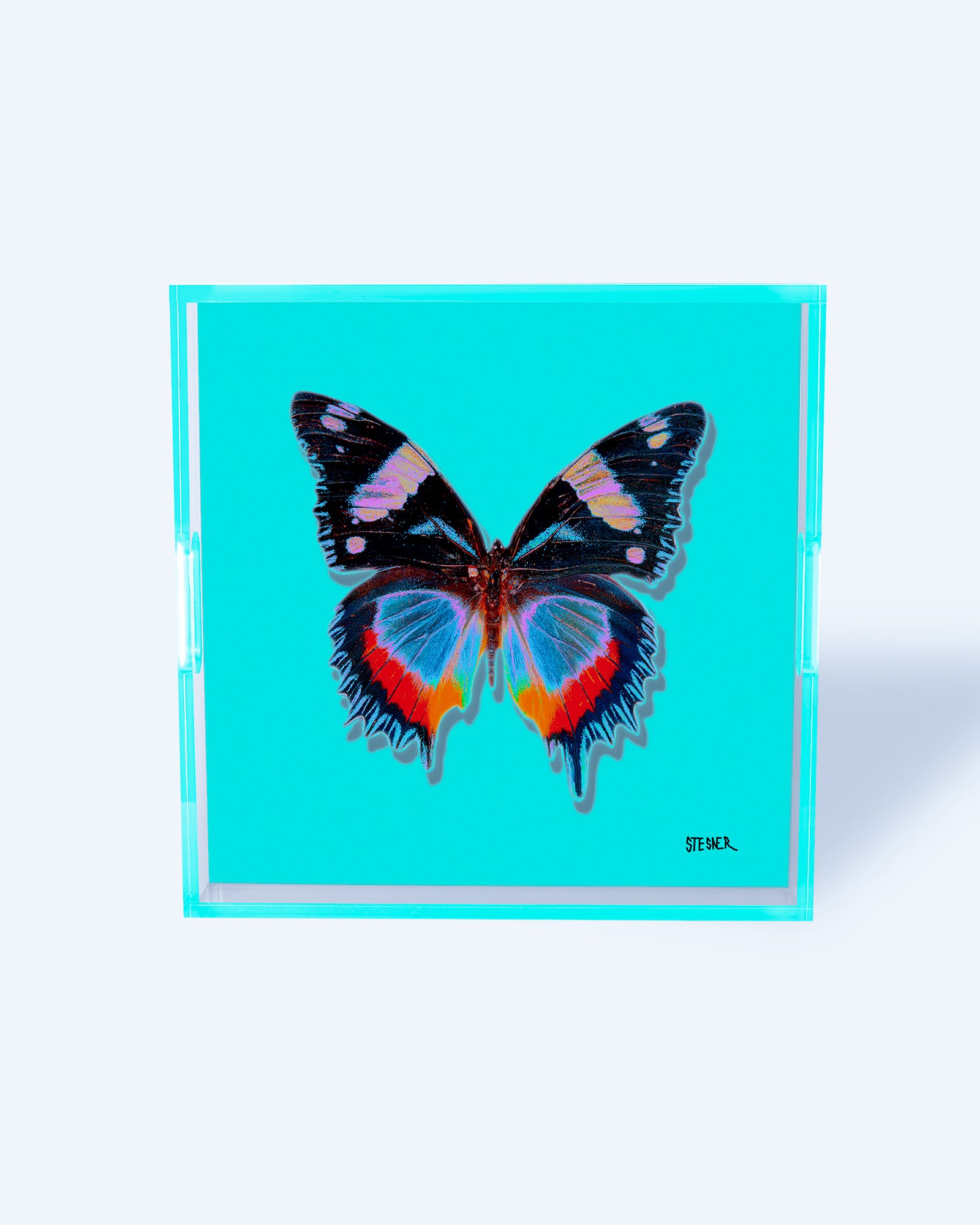 Aquamarine Papillon by David Stesner ArtHouse — turquoise black square acrylic trays, full product view