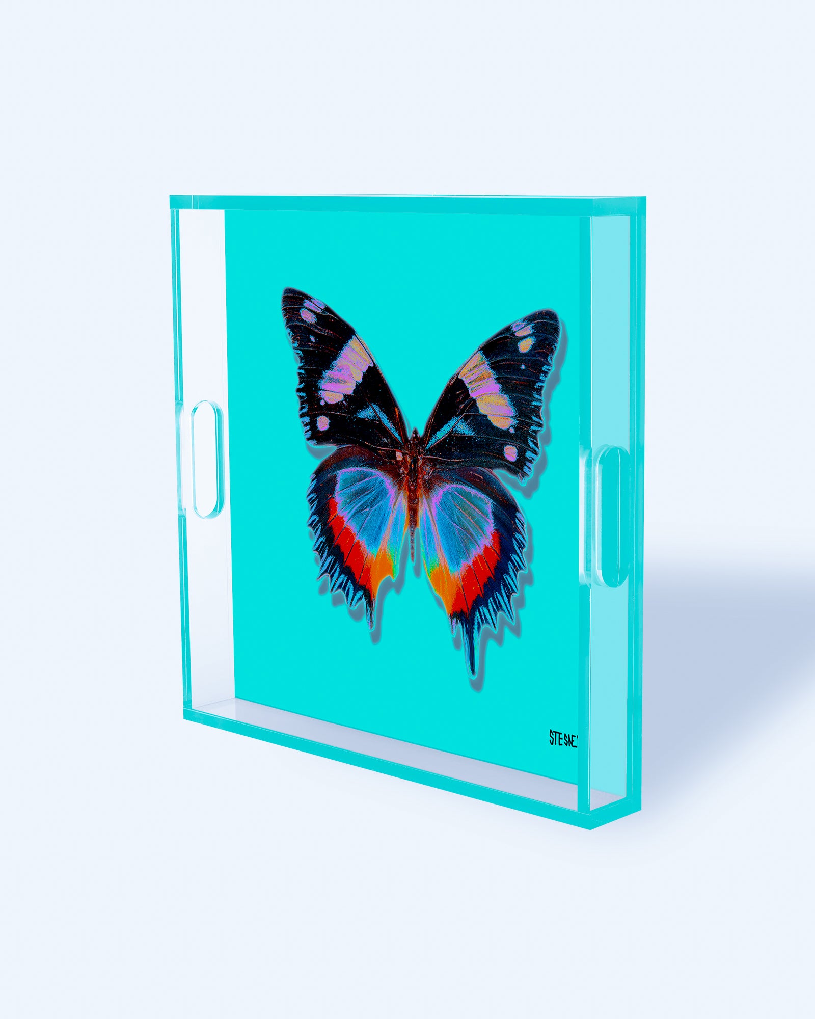 Aquamarine Papillon by David Stesner ArtHouse — turquoise black square acrylic trays