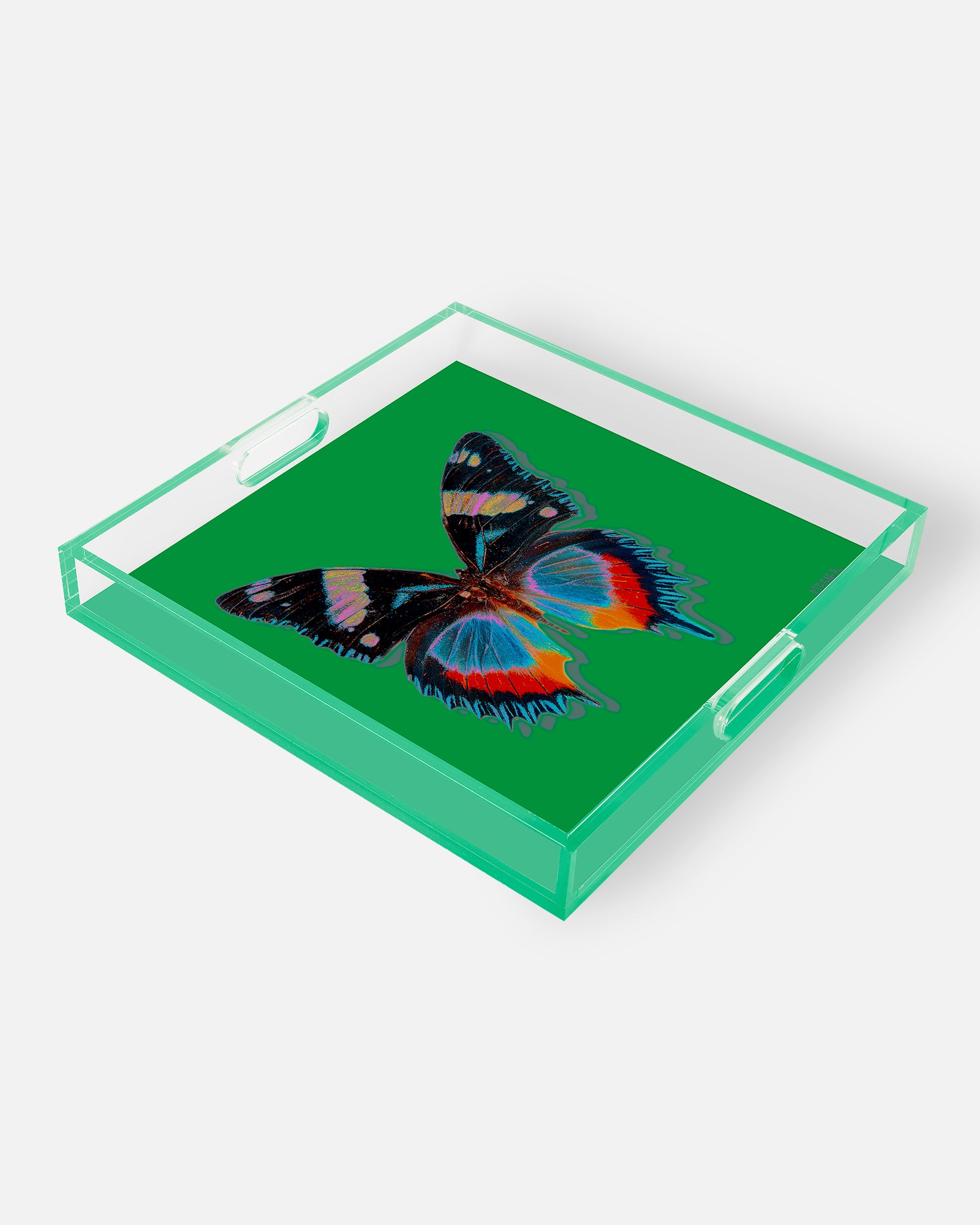 Bright Green Monarch