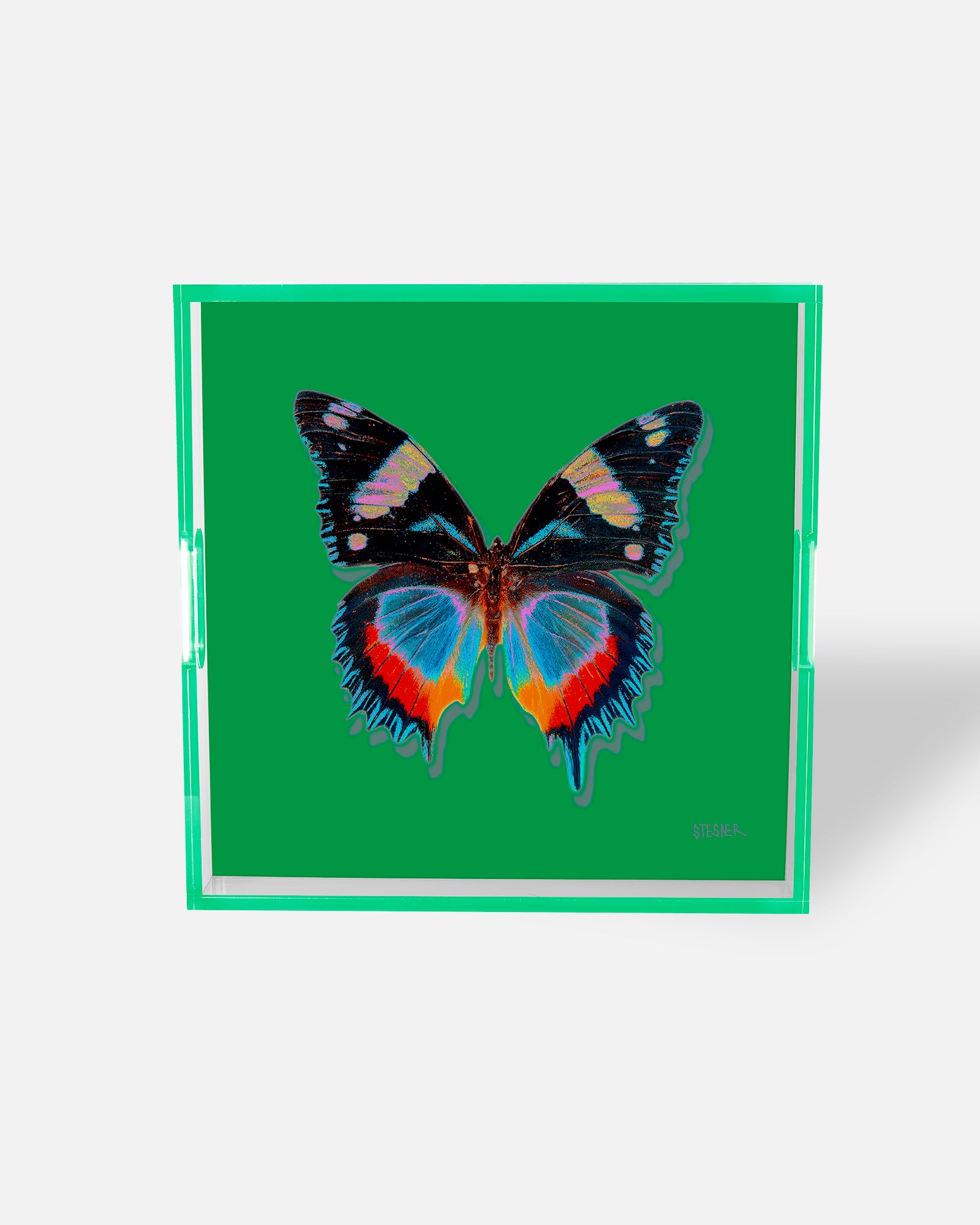 Bright Green Monarch