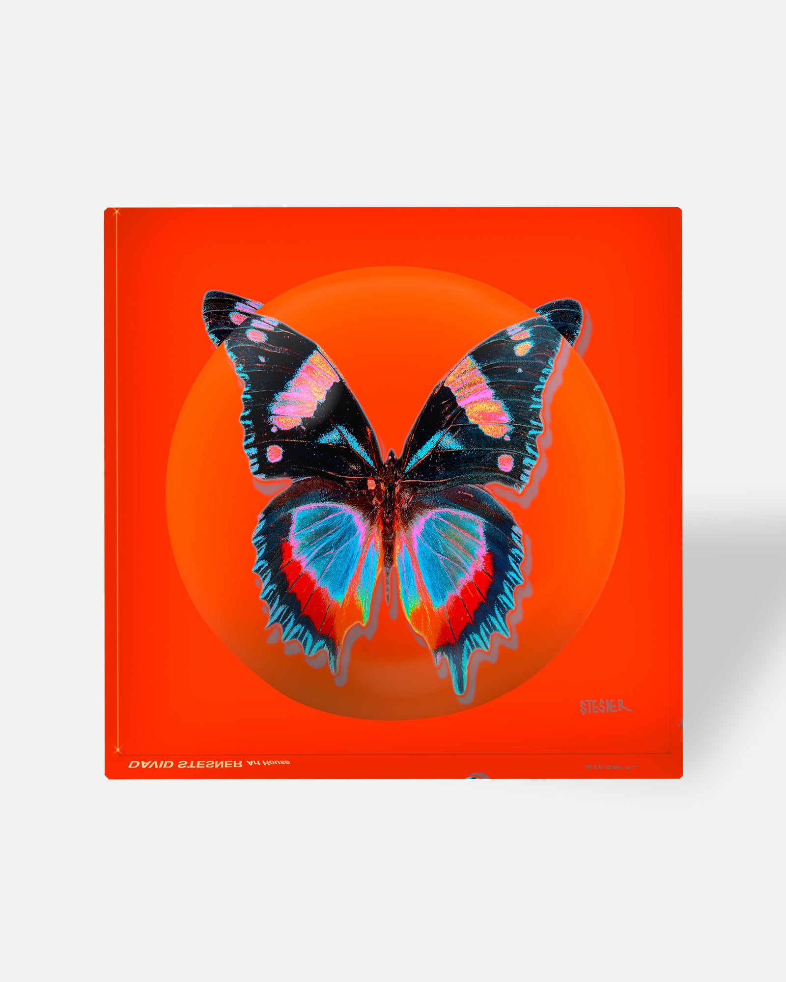 Poppy Flutter