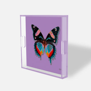 Amethyst Papillon