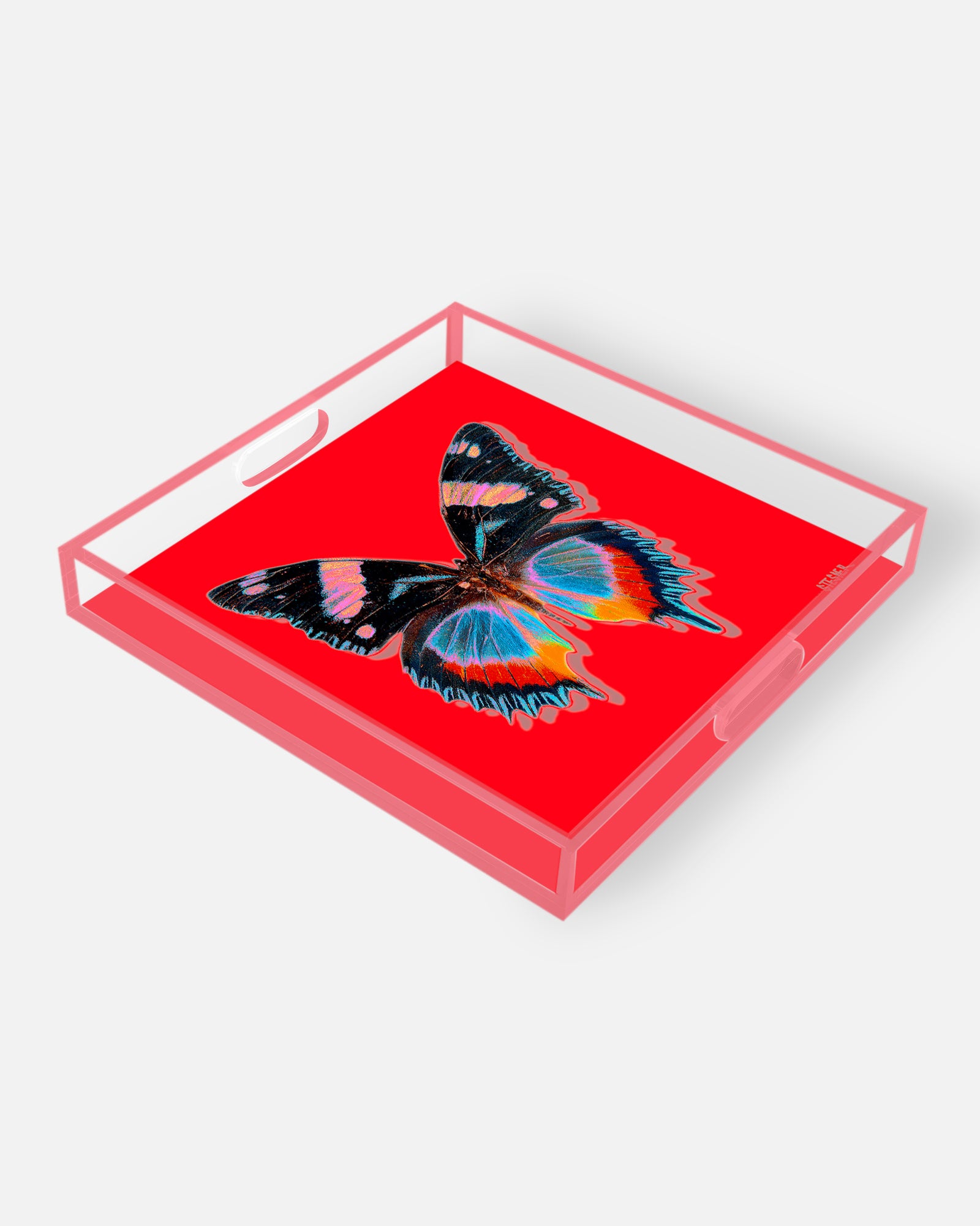 NEW! Poppy Papillon