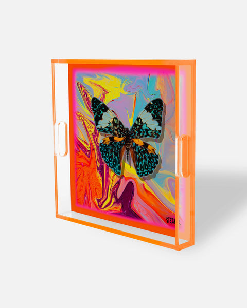 Butterfly S レッド 2枚セット Reef Fly Swirl Square Acrylic Tray | David Stesner ArtHouse