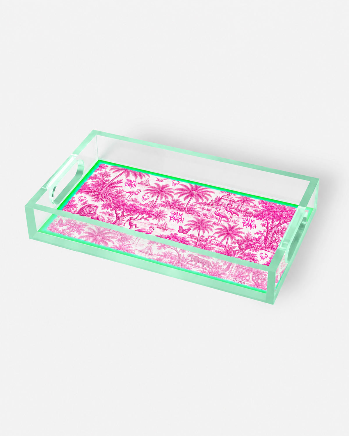 Urban Pop Toile Palm Beach Small Acrylic Tray | David Stesner