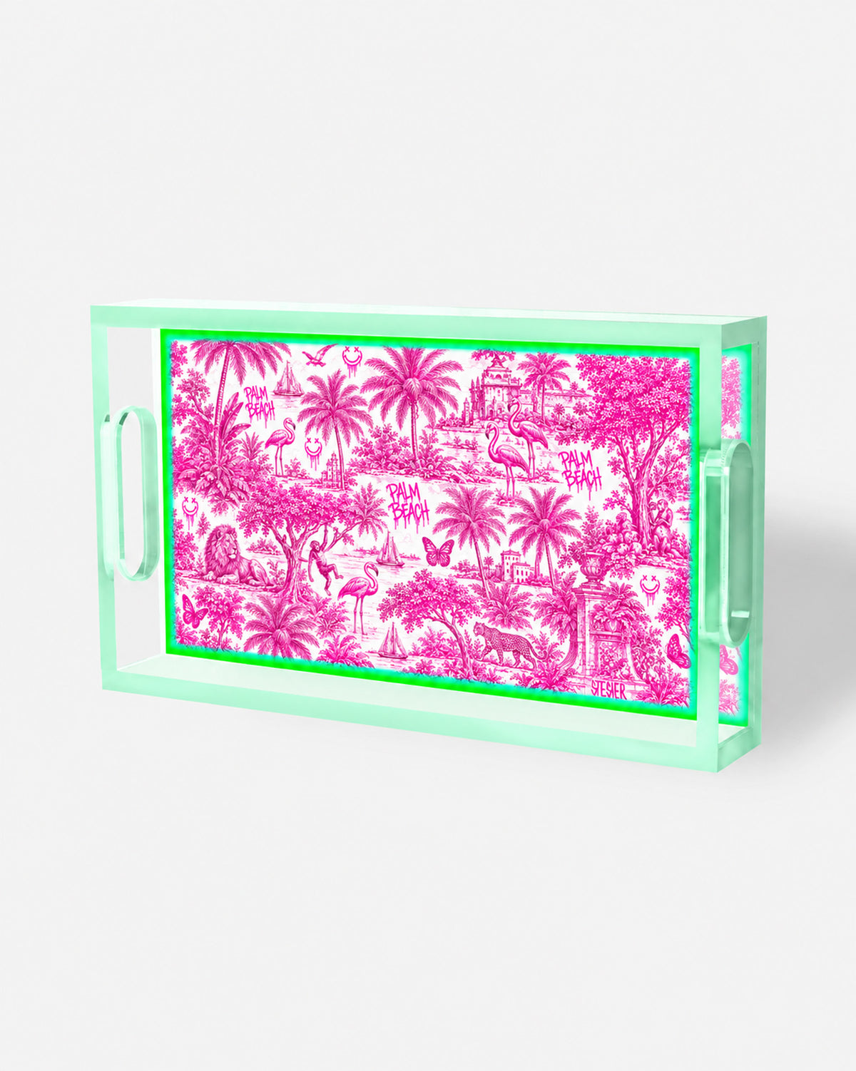 Urban Pop Toile Palm Beach Small Acrylic Tray | David Stesner