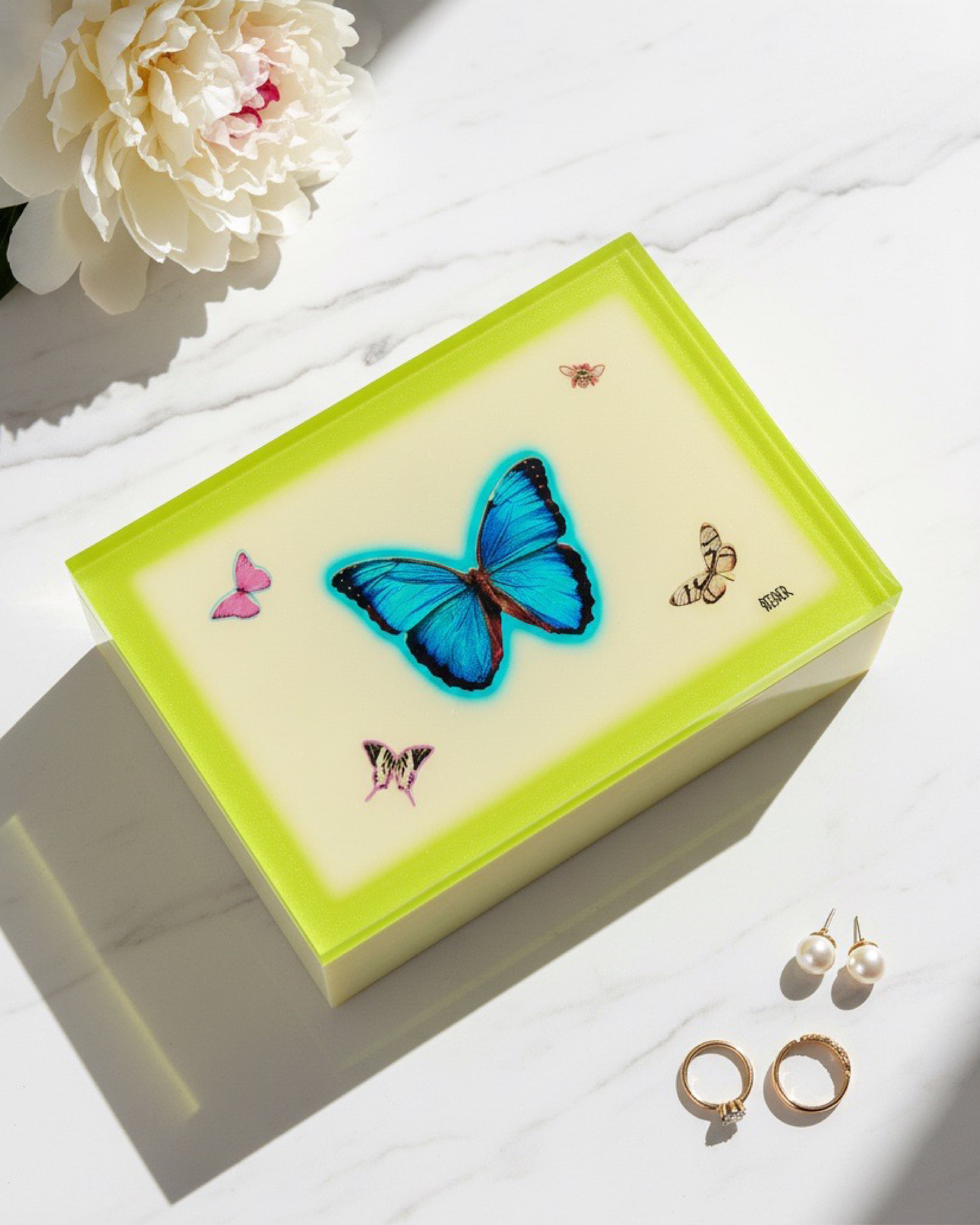 Neon Yellow Edge Butterfly Keepsake Box