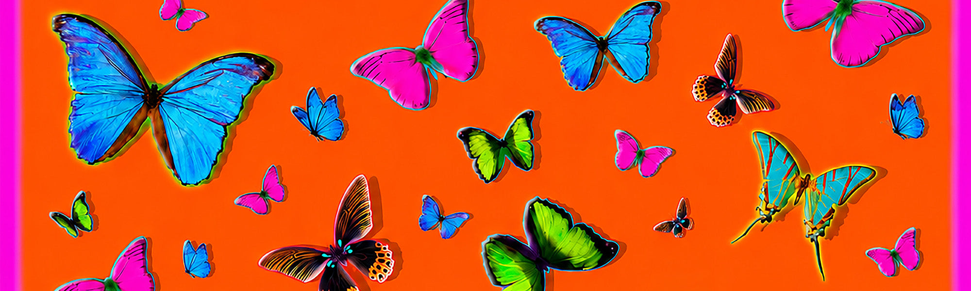 The Butterfly Effect Collection — Scarves & Twillies