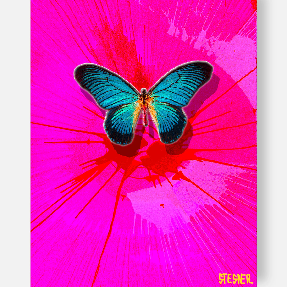 DSAH-CB-HOT-PINK-PRINTS-