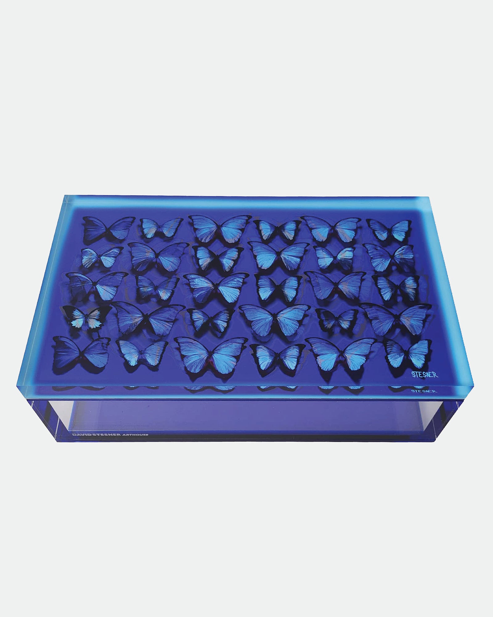 The Migration — Cobalt Blue Butterfly Keepsake Box — acrylic keepsake box by David Stesner ArtHouse — view 5