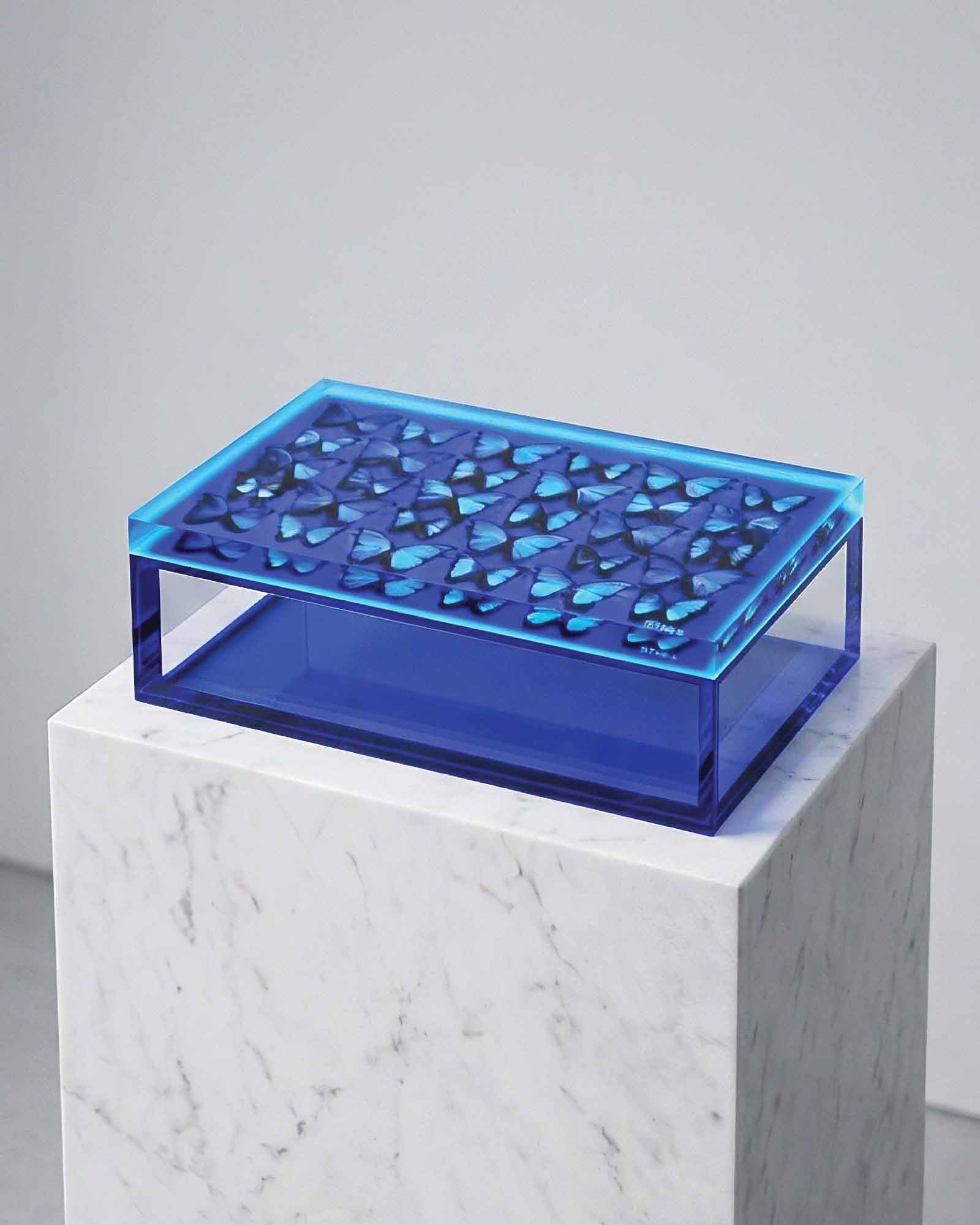 The Migration — Cobalt Blue Butterfly Keepsake Box — acrylic keepsake box by David Stesner ArtHouse — view 1