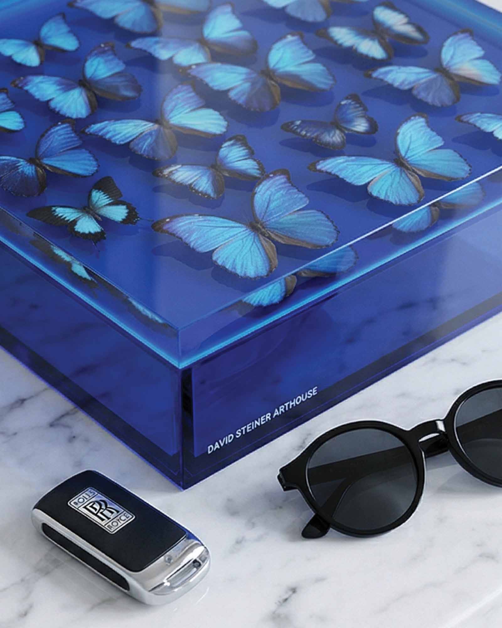 The Migration — Cobalt Blue Butterfly Keepsake Box — acrylic keepsake box by David Stesner ArtHouse — view 2