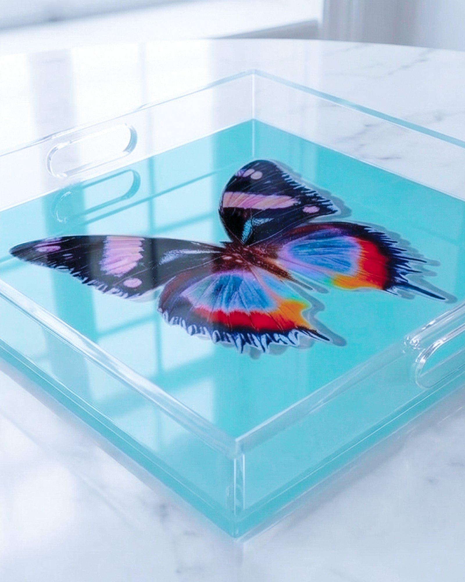 Aquamarine Papillon by David Stesner ArtHouse — turquoise black square acrylic trays, styled view