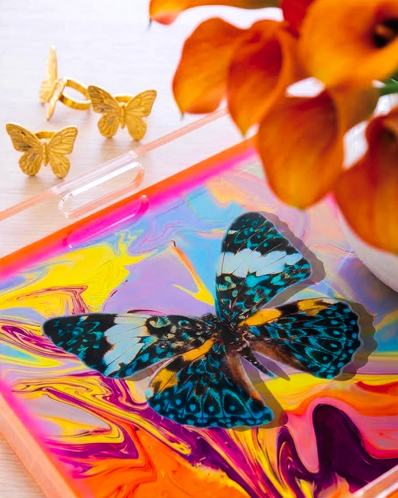 Reef Fly Swirl by David Stesner ArtHouse — multicolor blue square acrylic trays, full product view