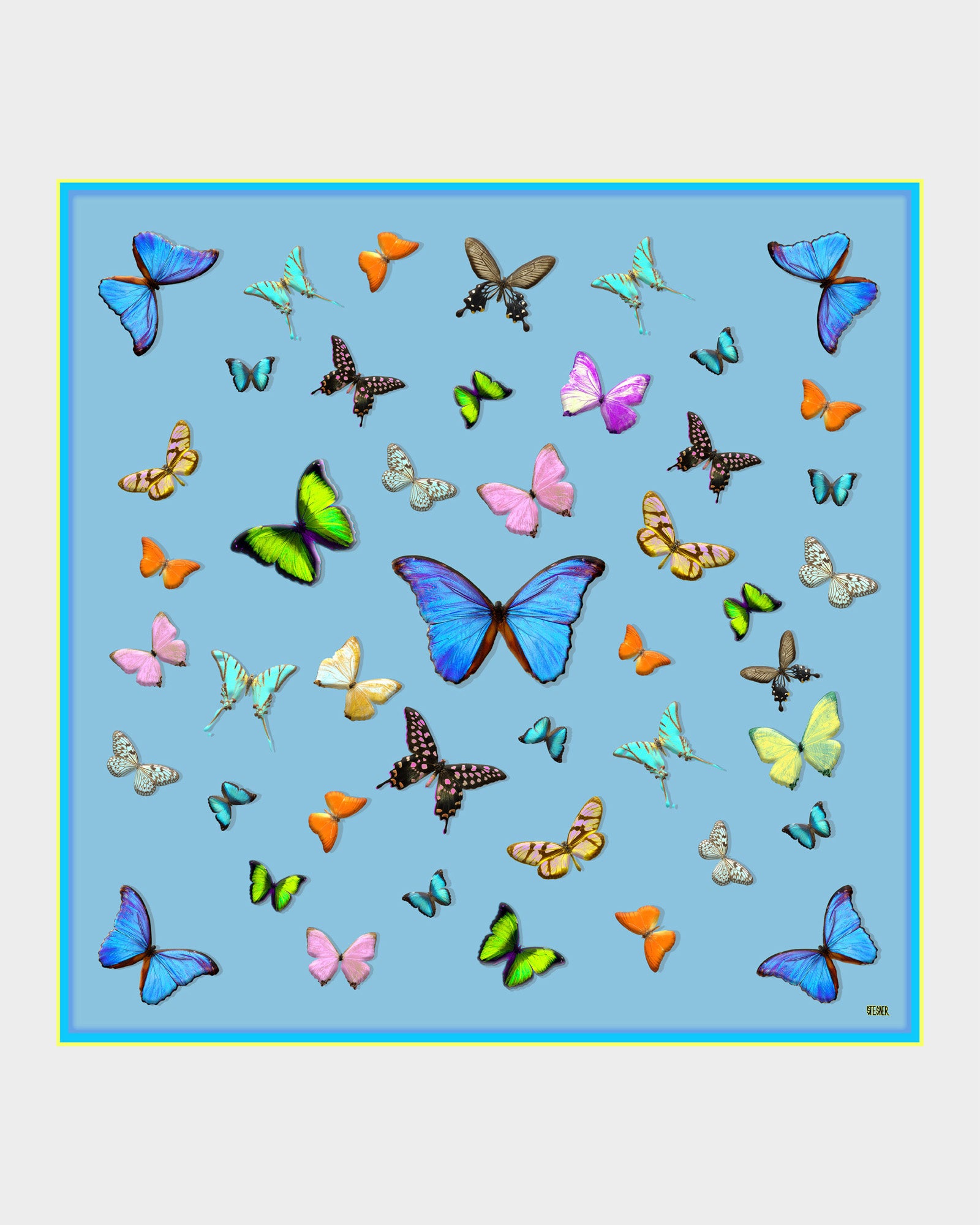 Azure Flight Silk Scarf