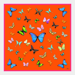 Tangerine Wander Silk Scarf